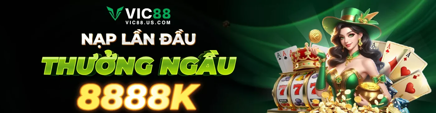 Banner VIC88