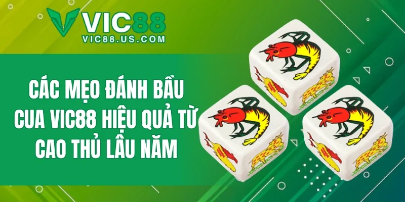Các mẹo đánh Bầu Cua VIC88 hiệu quả từ cao thủ lâu năm
