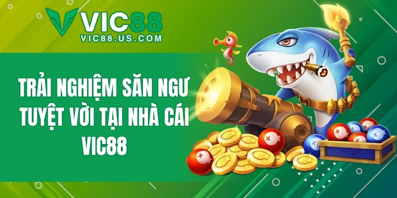 Trải nghiệm săn ngư tuyệt vời tại nhà cái VIC88